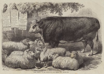 Nagroda dla zwierząt na wystawie bydła w Smithfield Club autorstwa Samuel John Carter
